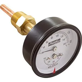 007399F | Temperature & Pressure Gauge Kit 0-200 Psi 70-320f 1/2" | RAYPAK