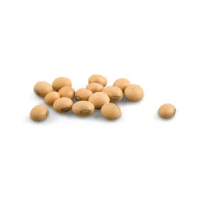 Soy Bean ORGANIC Sprouting Seeds | Weston Seeds