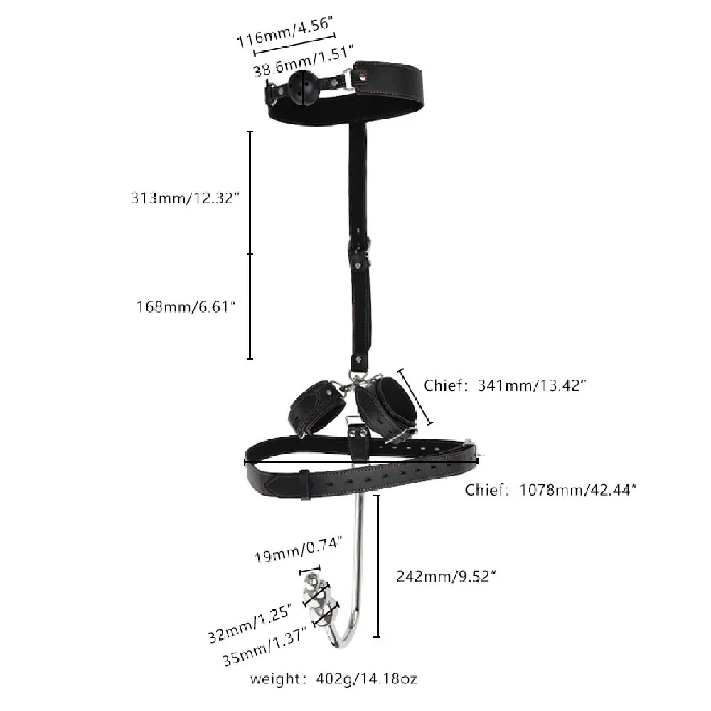 Triple Beads Pleasure Anal Hook and Restraint Set