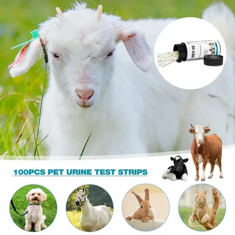 Urine Test Kit For Dogs 10 In 1 Urinalysis Parameter Tests For Monitoring Pet Health 10 In 1 Detects White Blood Cells