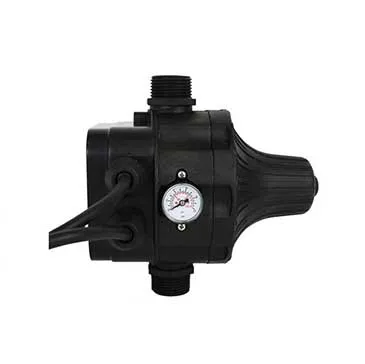 WHI-SK20PPHS2 Automatic Restart Pump Controller IEC Plug 2.2 Bar 240V (711942)